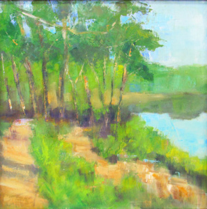 A green creekside at Crowder’s Mountain.
