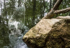 Splashing water in a rocky creek.