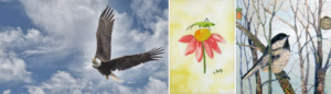 Gallery at Southern Arts Society in Kings Mountain NC showing A Fresh Look 2022 art exhibit.