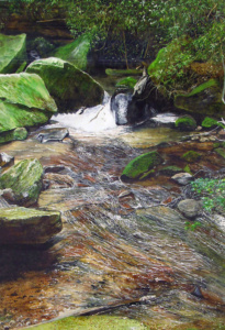 Water rushing over rocks in a creek bed.