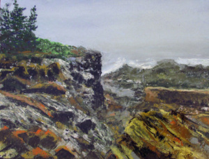 A chasm in a rocky shoreline cliff overlooking the ocean.