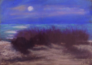 A dark blue sky with the moon shining over a sandy beach.
