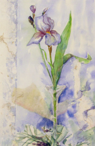 A single purple iris against a watery light purple background.
