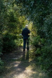 A man walking into a light-flooded clearing out of a showy woodland path.