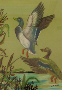 Two mallard ducks alighting from the marshes.