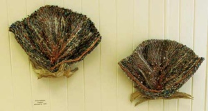 2 wireframe weaving works in the shape of scallop shells