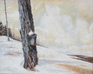 a snow-bound single tree with an embedded metal bucket collecting sap.