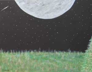 a large bright moon shining on a green clearing in the dark starry night sky