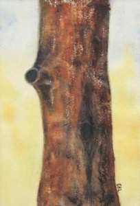 up close drawing of a red and brown tree bark textured leafless tree trunk.