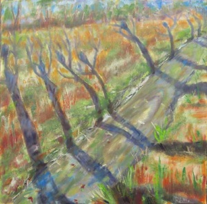 leafless trees lining a coutry road leaning toward the sunshine.