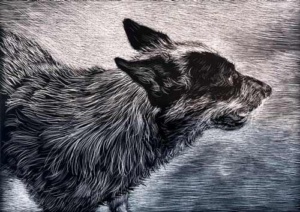 a grey dog with medium wabvy fur rendered in black and white.