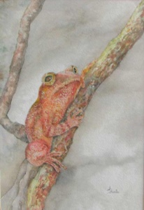 a red brown from clinging to a leafless branch.