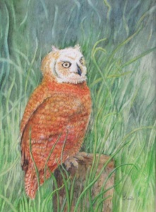 a brown great horned owl sitting on a stump in a graasy scene.