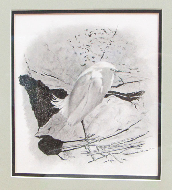 Black, white and gray rendering of a white bird standing on twigs.