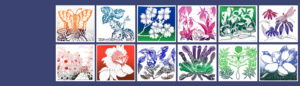 SASi 2024 Calendar pages