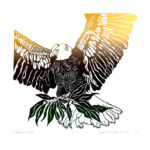 December - Jean W. Smith - National Bird