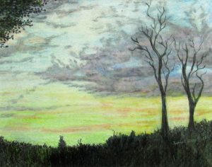 treescape and night sky rendered in colored pencil