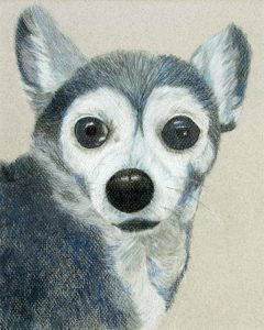 dog rendered in colored pencil