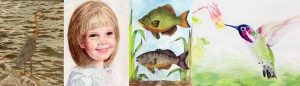 4 pieces of colored pencil art