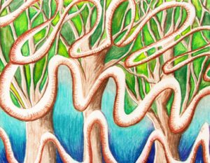 abstract tendils rendered in colored pencil