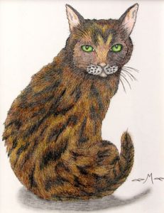 tourtoiseshell colored cat rendered in colored pencil